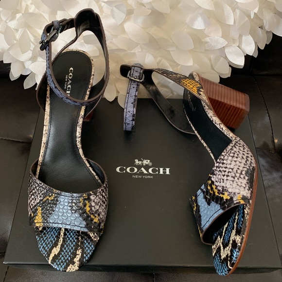 Coach - Picture 1 of 1